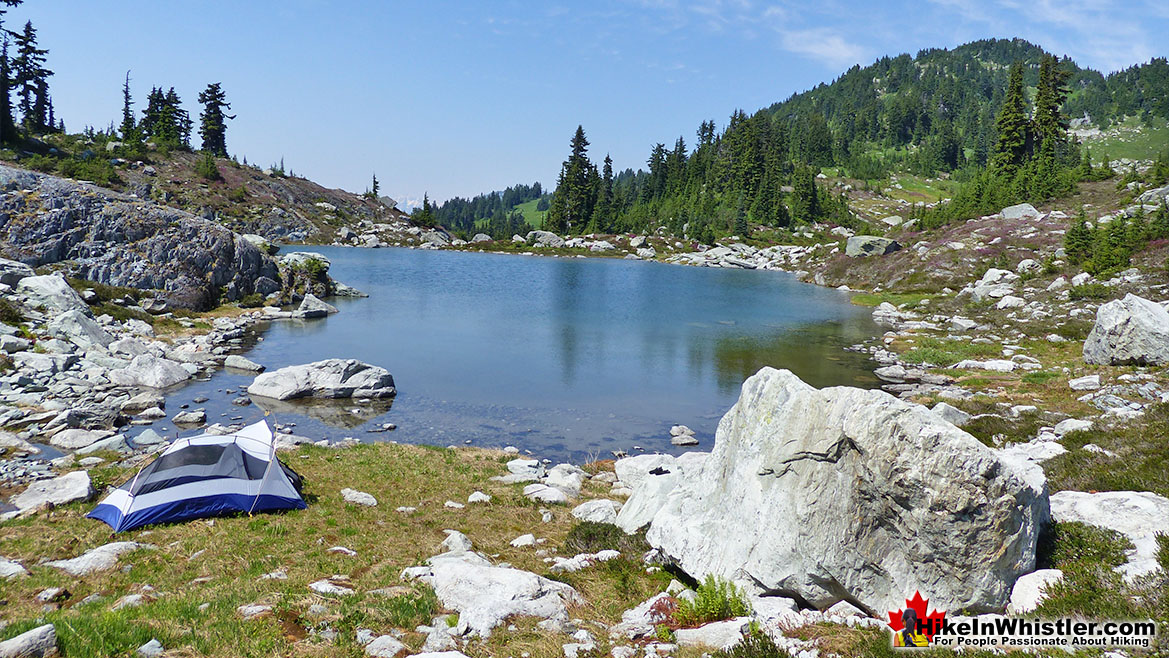 Alpine Zone, Mount Sproatt, Whistler