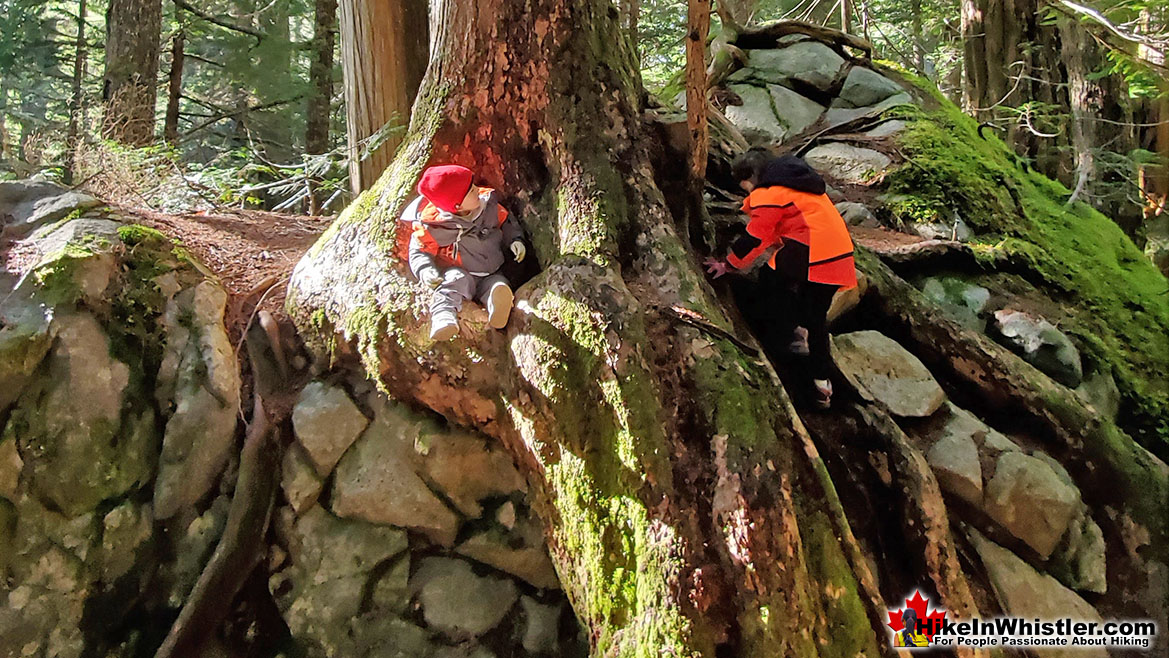 Arborlith Cheakamus Lake 11