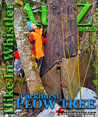 Parkhurst Plow Tree