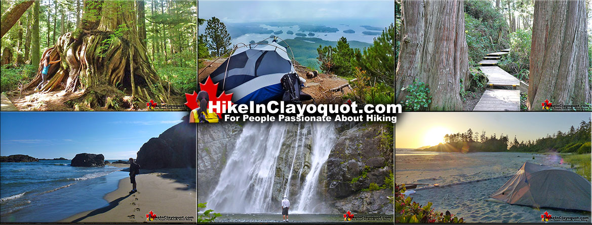 Best Clayoquot Hiking Trails