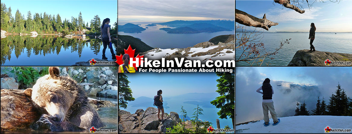 Best Vancouver Hiking Trails