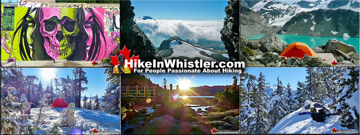 Amazing Hiking Trails in Whistler