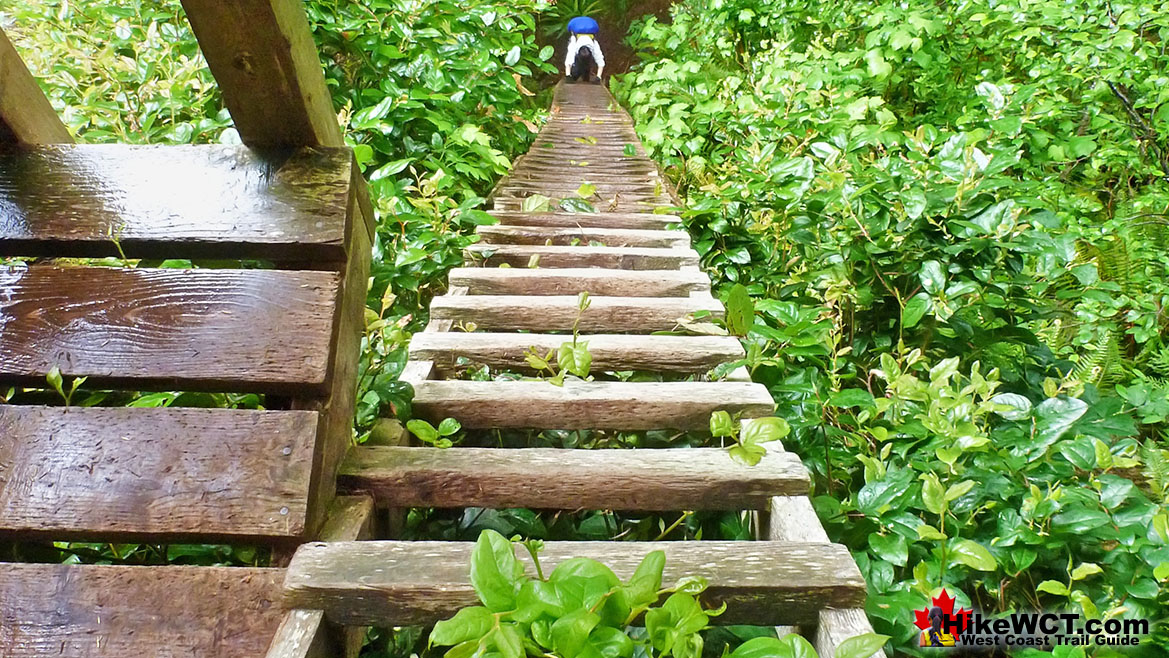 West Coast Trail Ladders