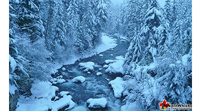 Cheakamus River Snowshoeing in March