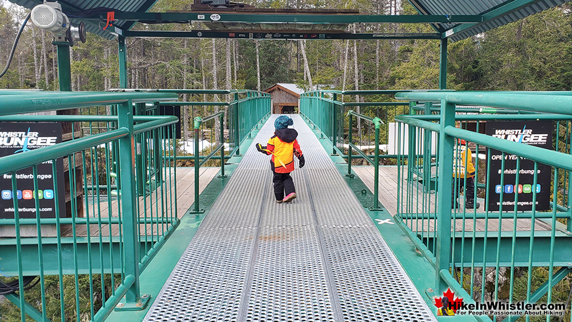 Whistler Bungee Bridge Kid Friendly