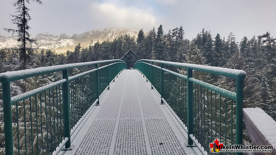 Snowy Whistler Bungee Bridge