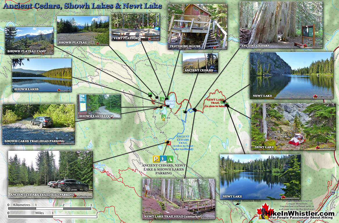 Ancient Cedars Newt Lake Map v10