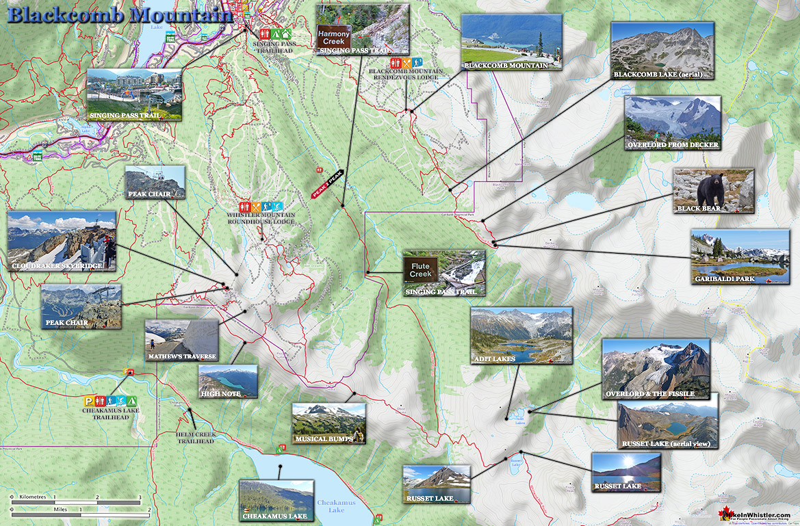 Blackcomb Mountain Large Map v19