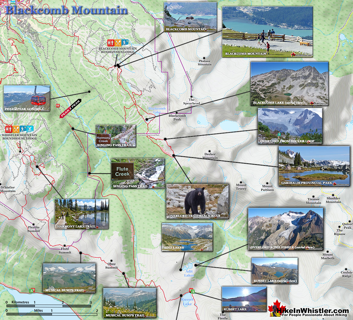 Blackcomb Mountain Hiking Maps