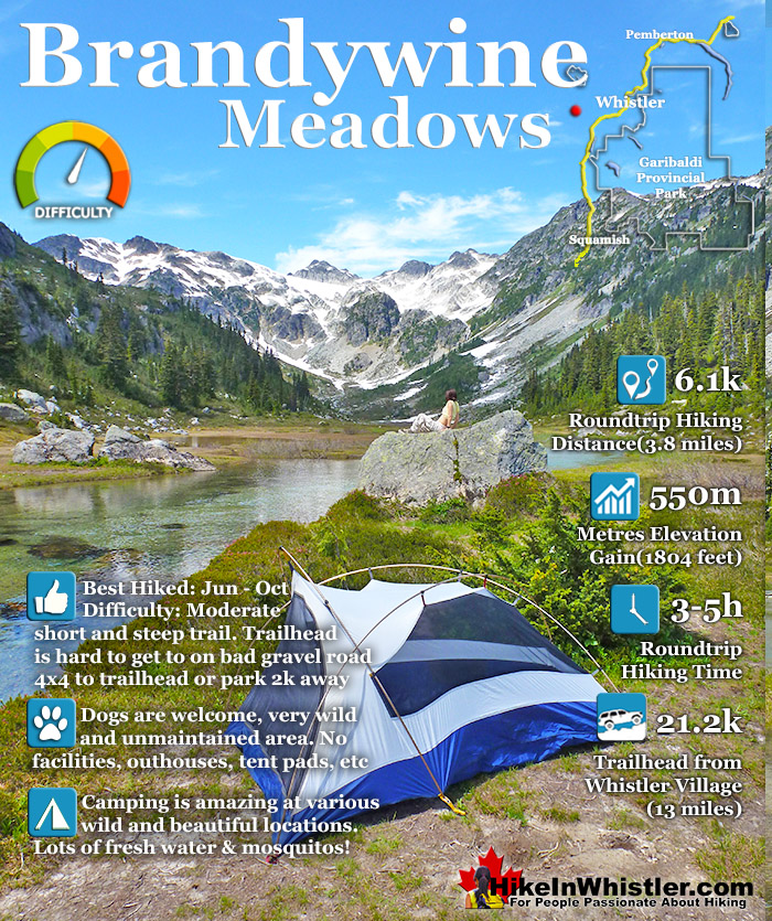 Brandywine Meadows Hike in Whistler