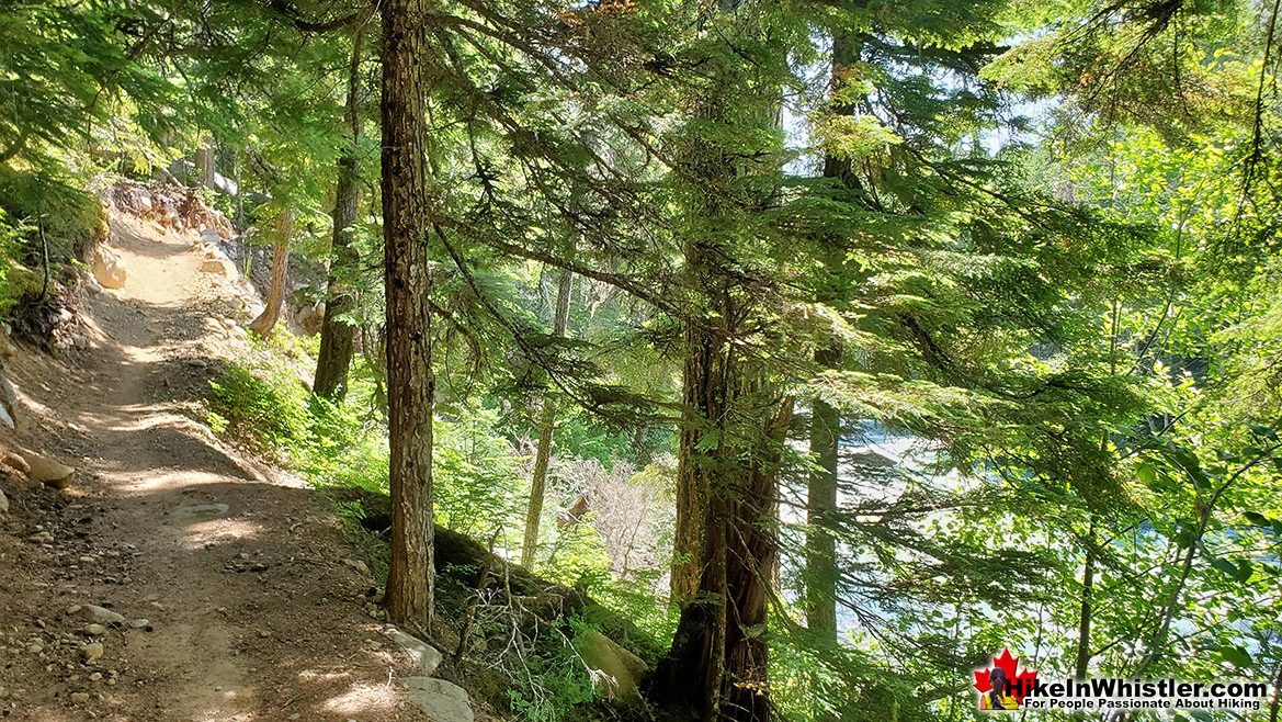 Cheakamus River Farside Trail