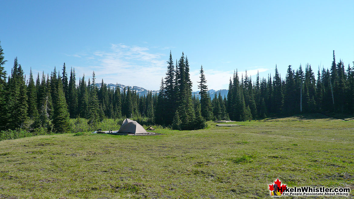 Helm Creek Campsite 9