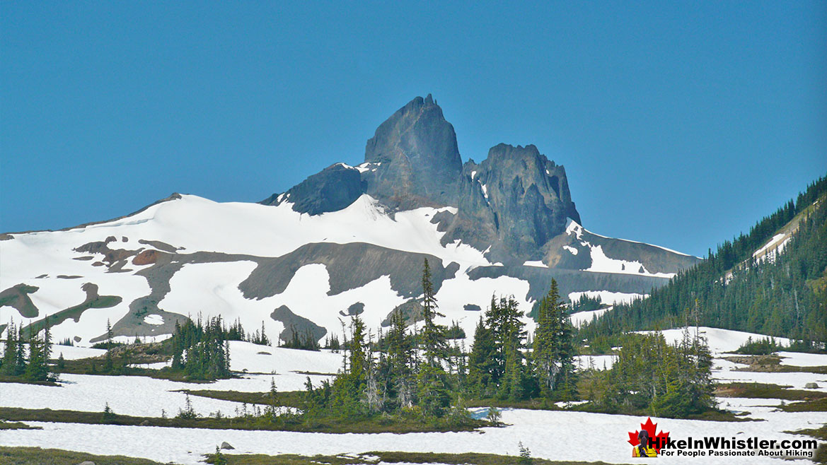 Helm Creek Trail to Black Tusk 5