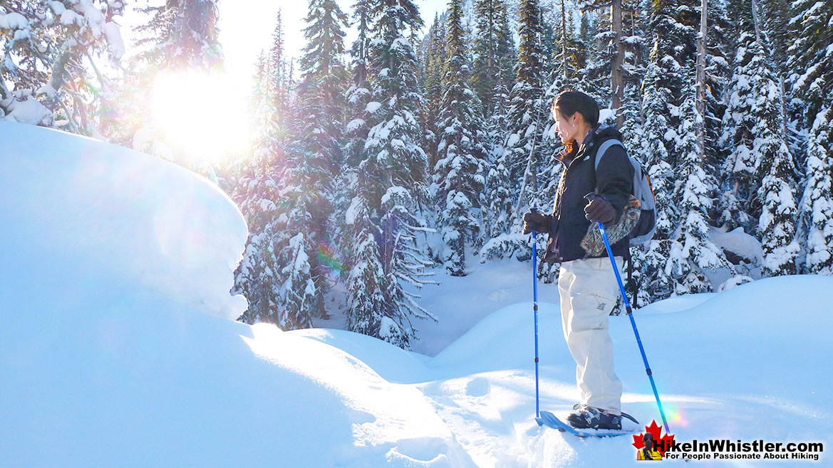 Joffre Lakes Hike in Whistler November