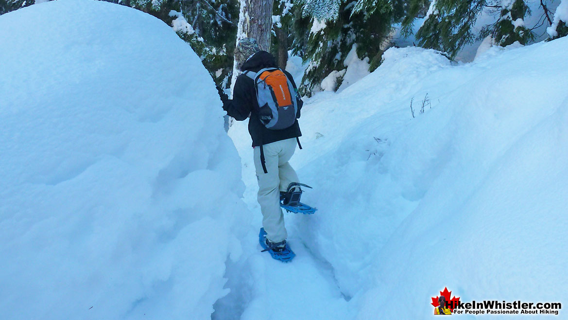 Best Whistler Snowshoeing