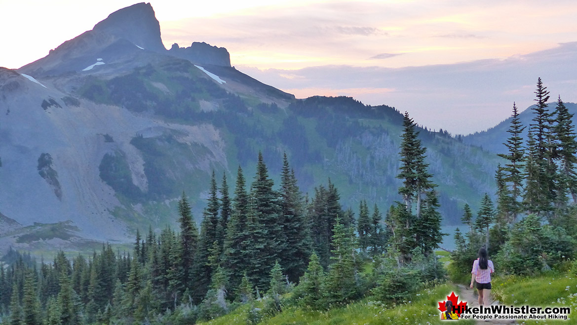 Panorama Ridge Trail View of Black Tusk