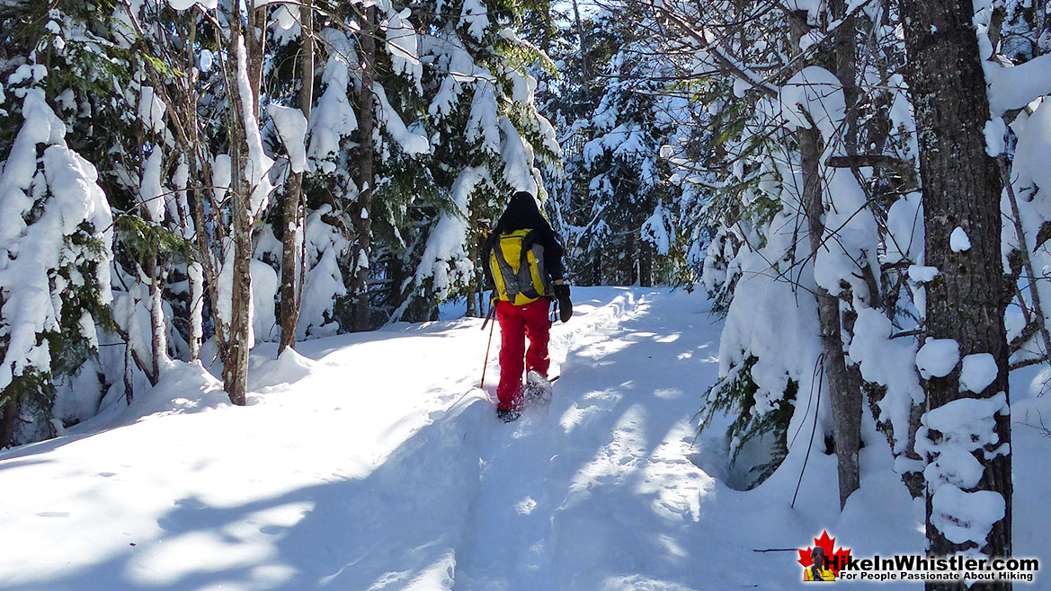 Best Whistler Snowshoeing