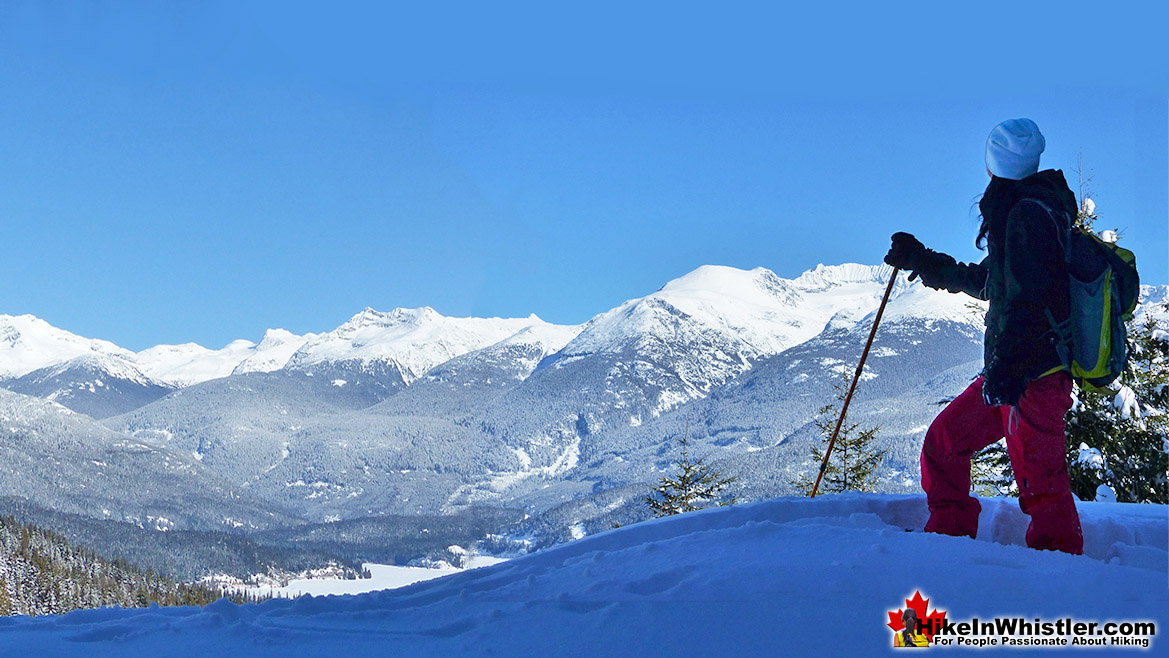 Best Snowshoe Trails