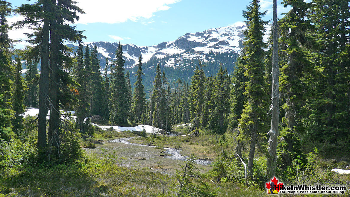 Ring Lake Trail Hike in Whistler