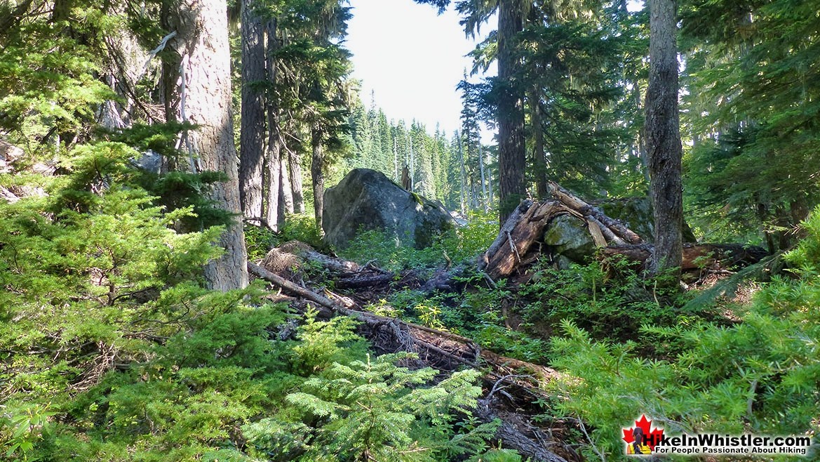 Sproatt East Trail Huge Boulder