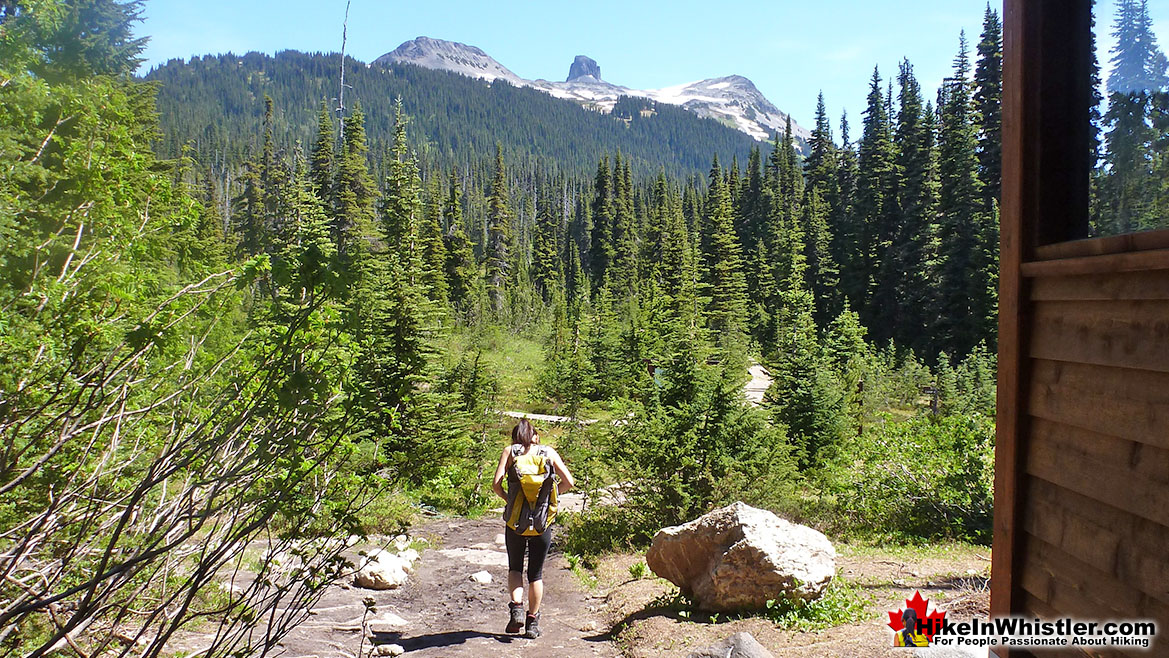 Taylor Meadows and Black Tusk in the Distance