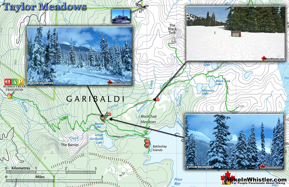 Taylor Meadows Snowshoeing Map