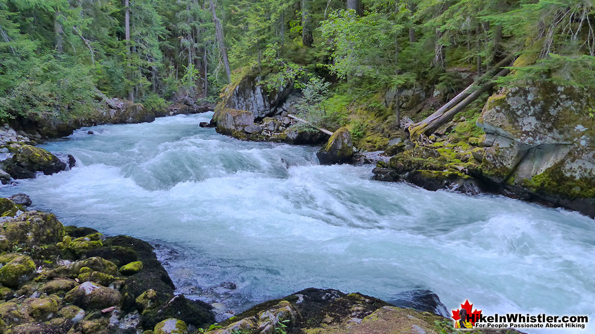 Cheakamus River Hike in Whistler