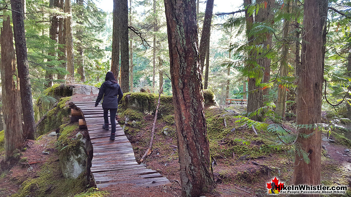 Whistler Train Wreck Bike Boardwalk